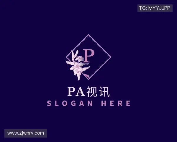 了解PA视讯